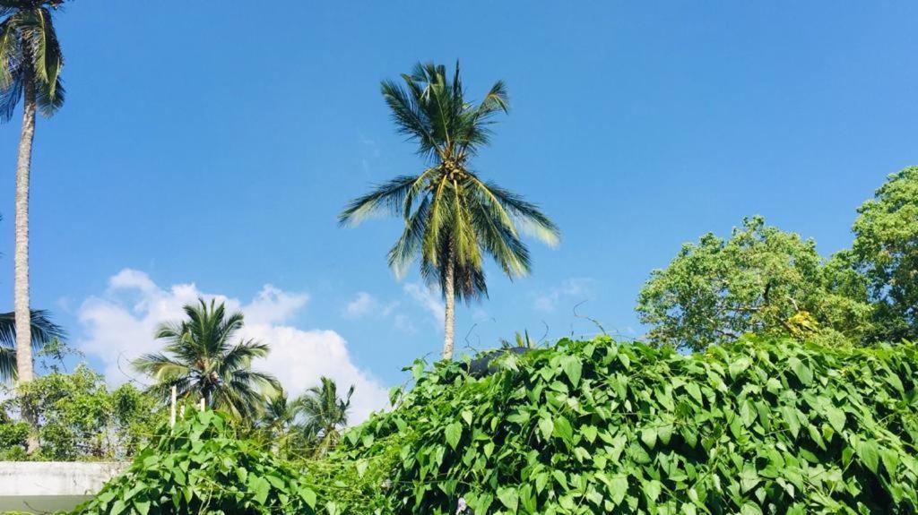 Villa Ceylon Home أونا واتونا المظهر الخارجي الصورة